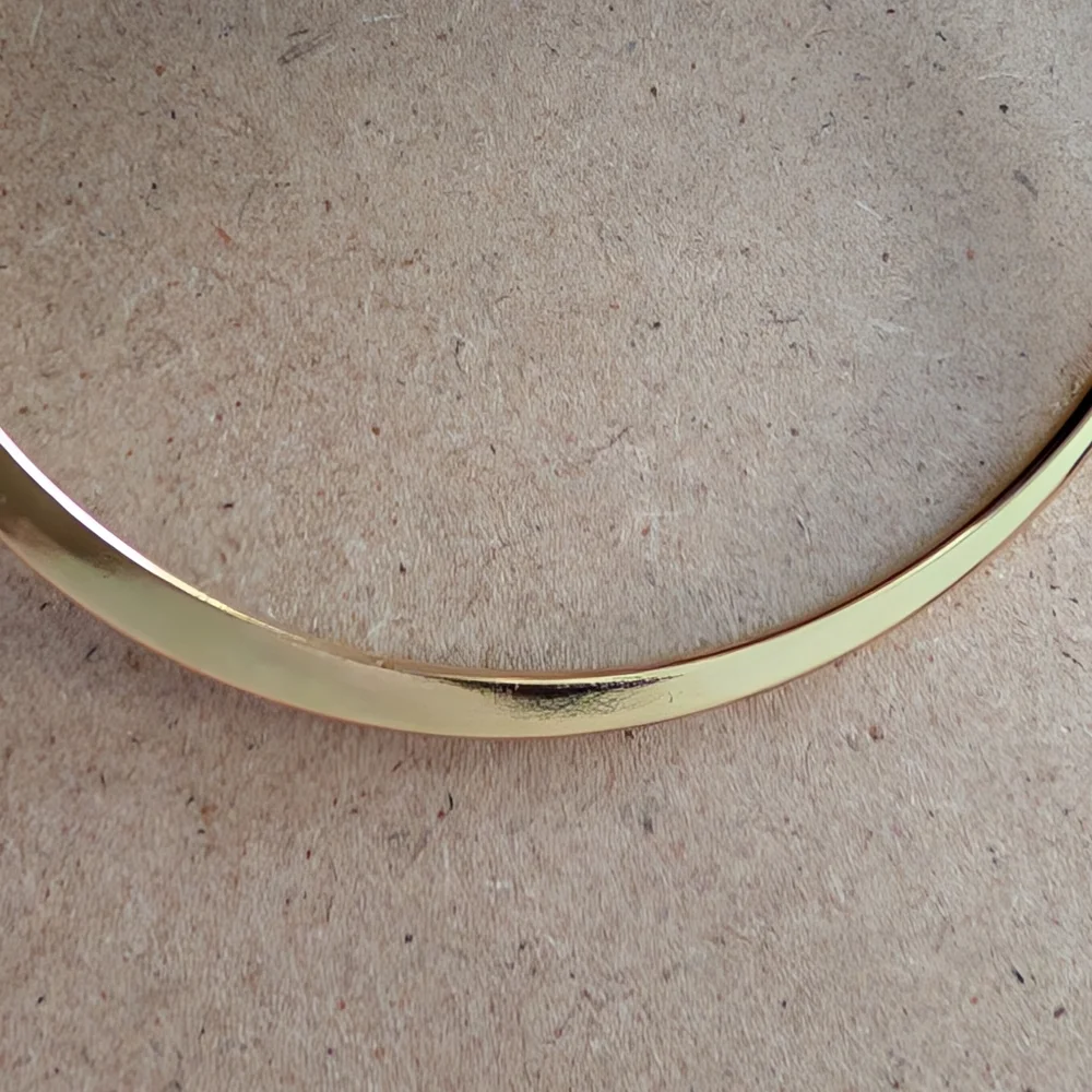 Stainless Steel Gold Minimalist Hoop Earrings